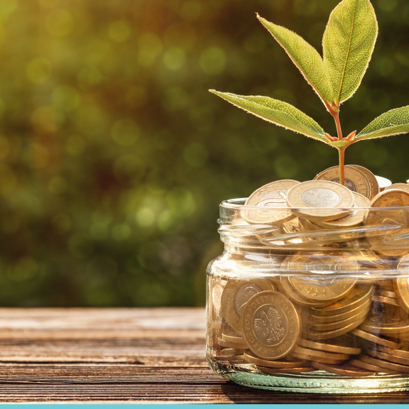 coins and plant banner