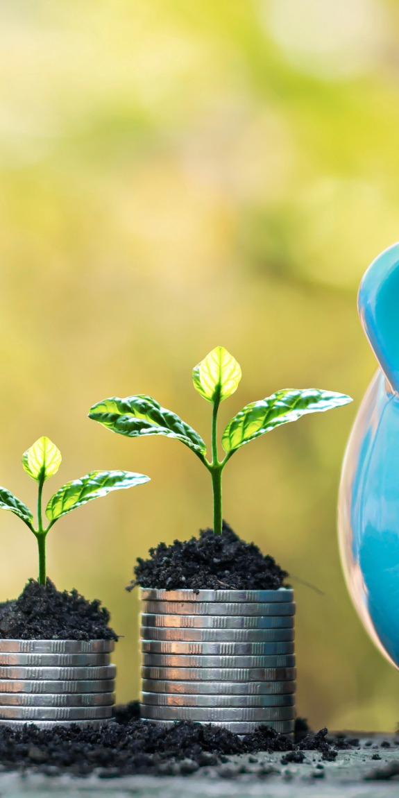 Saving coins and piggy