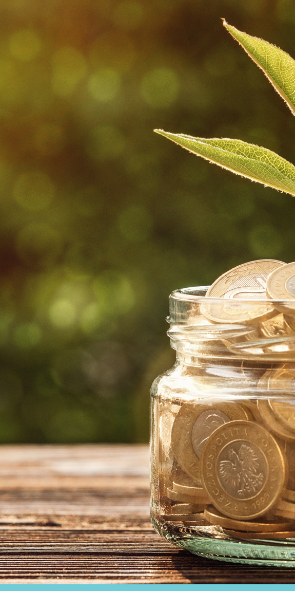 coins and plant banner