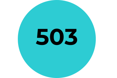 Infographic that reads "503"