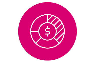 a dollar sign in a pie chart icon