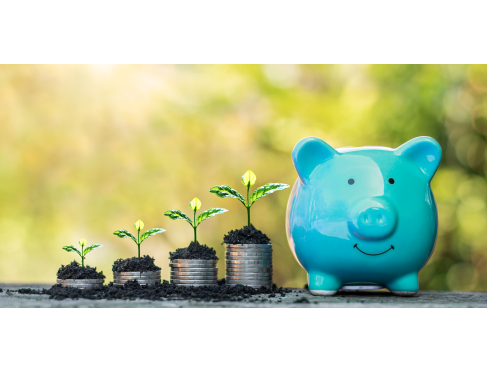 Saving coins and piggy